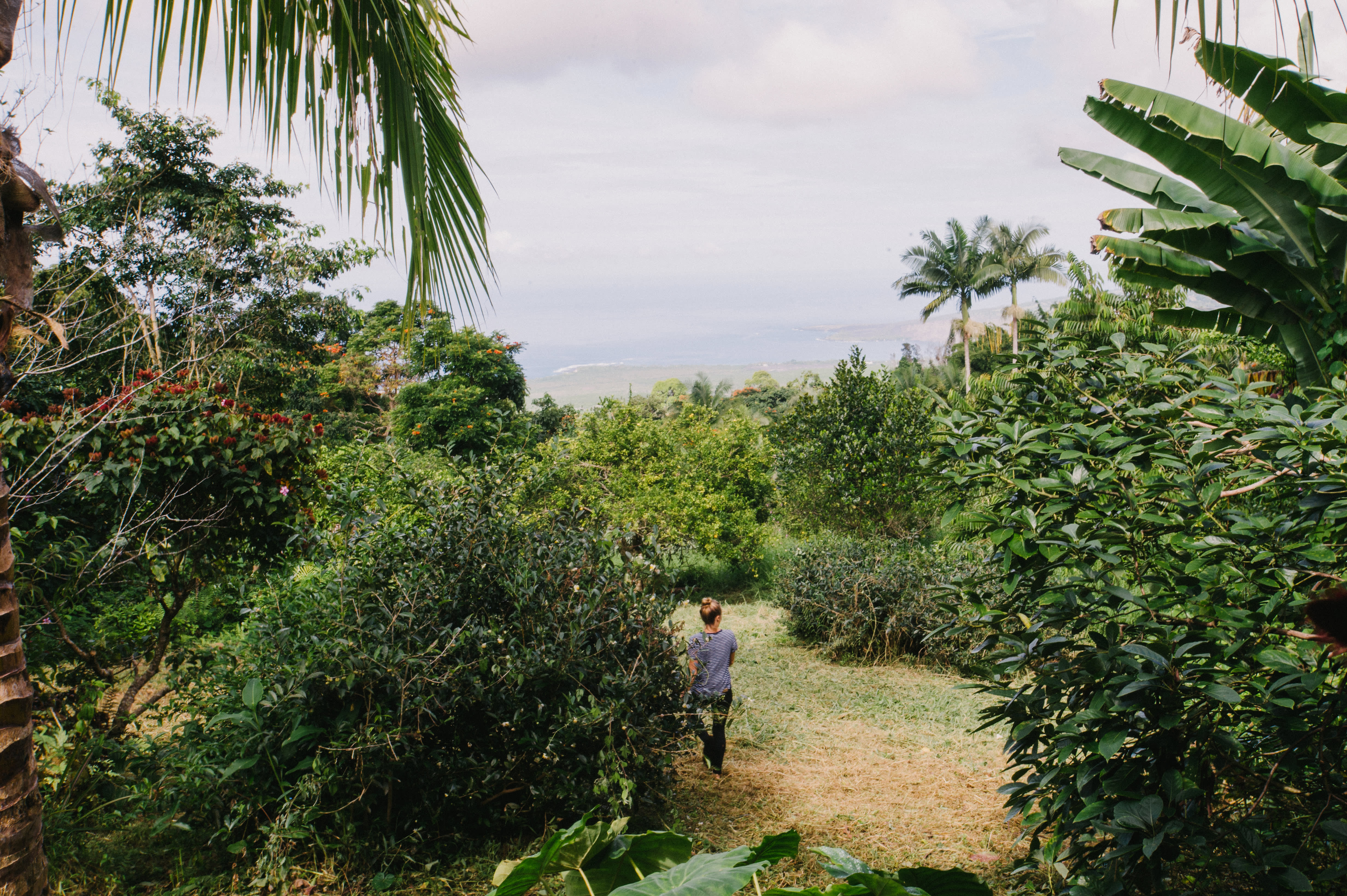 Rustic Hawaiian Homestead House Tour Photos Apartment Therapy